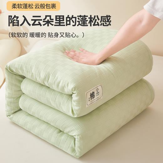 【被套可拆卸清洗】华夫格可拆洗新疆棉花被 冬被春秋被被芯 商品图6