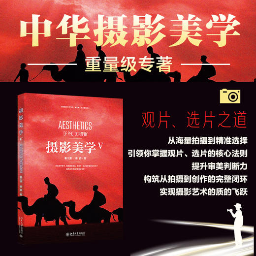 摄影美学V 秦大唐 秦鹏 著 北京大学出版社 商品图1