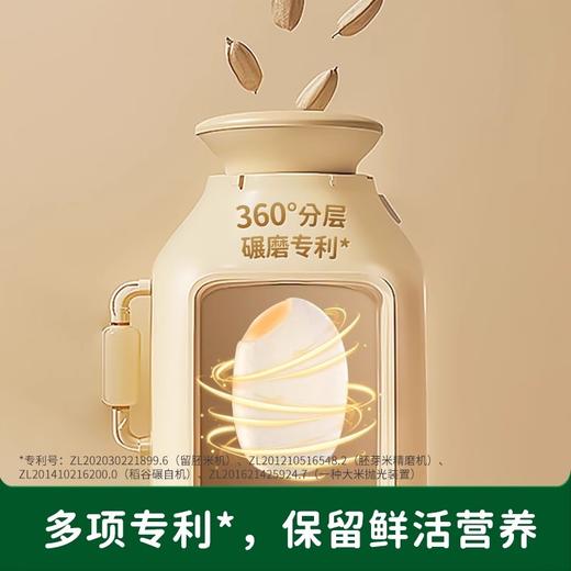 碧欧齐有机圆粒香胚芽米300g 商品图4
