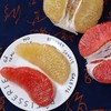福建鸳鸯柚(白心柚+红心柚) 一次品尝2种柚子口味! 商品缩略图2