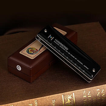 SUZUKI日本铃木进口HA20布鲁斯十孔PADDY调音10孔口琴高级成人专业演奏 商品图6