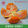 【顺丰快递】正宗涌泉蜜桔 临海橘子 新鲜薄皮 无核蜜橘 现摘现发 - CSDW 商品缩略图2