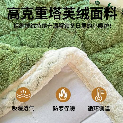 【A类加厚塔芙绒】床垫不掉毛宿舍床褥冬季垫子单人薄垫软垫防滑防静 商品图2