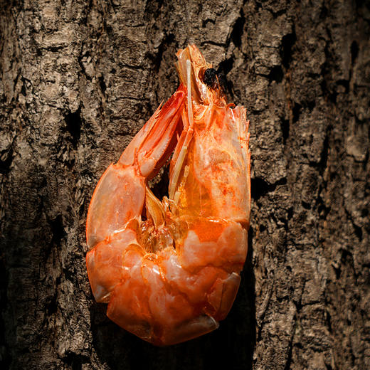 俏虾客有机烤虾 300g(净重) /盒*3 商品图4