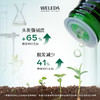 【大南南】WELEDA维蕾德迷迭香头皮护理精华液100ml小米洗发水190ml燕麦洗发水190ml 商品缩略图1