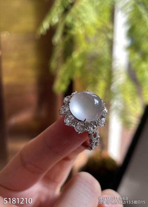 5181210，蛋面戒指。具体价格微信咨询 商品图1