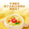 婴享无小麦长面儿童面条无麸质无蛋营养含婴儿宝宝辅食谱大米原味240g 商品缩略图1