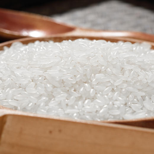 Q弹长粒香米10KG 商品图4