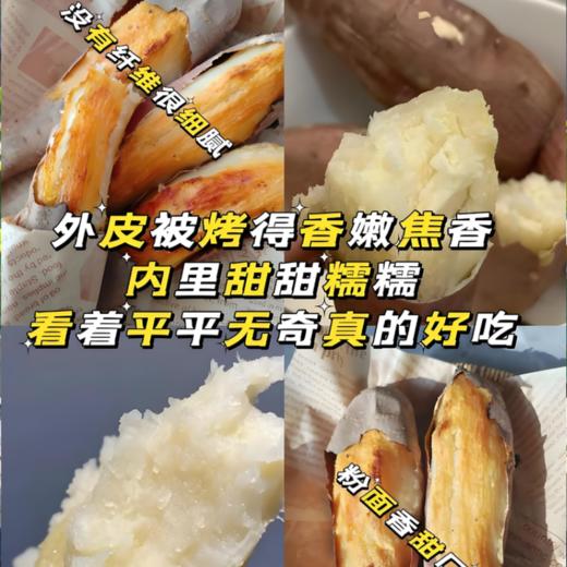 有机番薯，多品种可选，颠覆认知的糯沙香甜，安心美味（大小混装5斤装，顺丰包邮，72小时发货急件慎拍) 商品图5