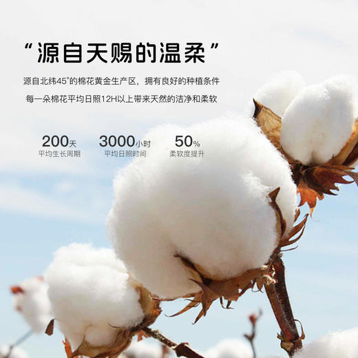 【10A级抑菌】5条装女士内裤舒适透气甜美蕾丝三角裤全棉裆D5611小花蓝调内裤 商品图6