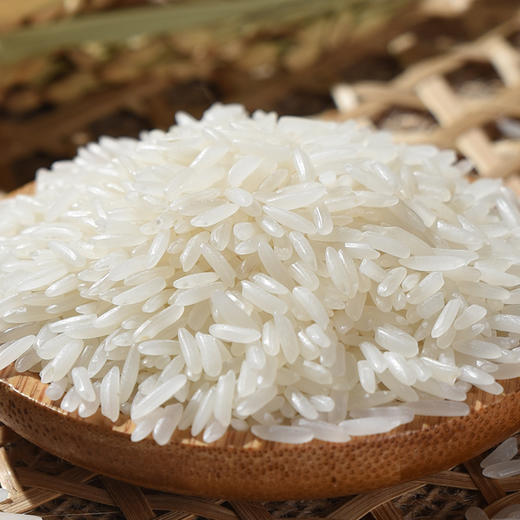 南方甄选鲜仔猫牙米5kg 商品图8