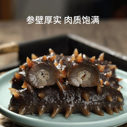 大连壮元海 即食海参 商品图3