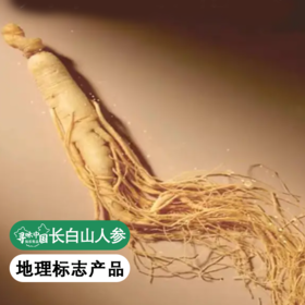 【中国地理标志产品】【长白山现挖6年新鲜人参】通化集安市边条参    园参中上品 顺丰快递