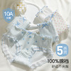 【10A级抑菌】5条装女士内裤舒适透气甜美蕾丝三角裤全棉裆D5611小花蓝调内裤 商品缩略图0