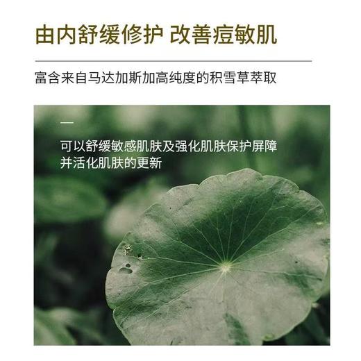SKIN1004理肤天使积雪草修护精华 深层补水屏障修复舒缓补水维稳安瓶精华液100ml 商品图4
