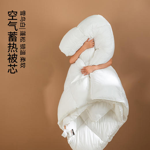【仿生空气绒被芯】保暖被芯秋冬仿生绒被芯纯色酒店民宿被子双人冬被 商品图2