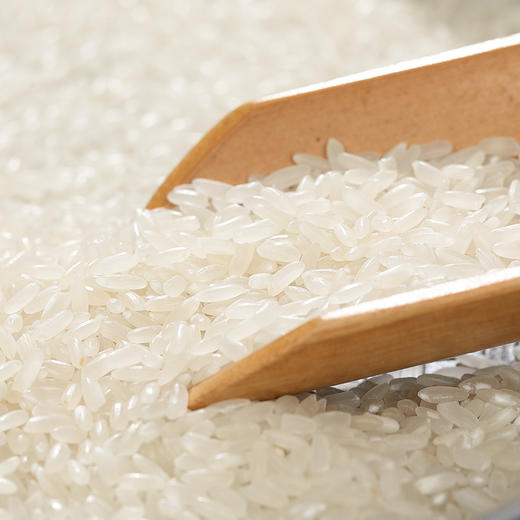 稻之金五常大米5KG 商品图8