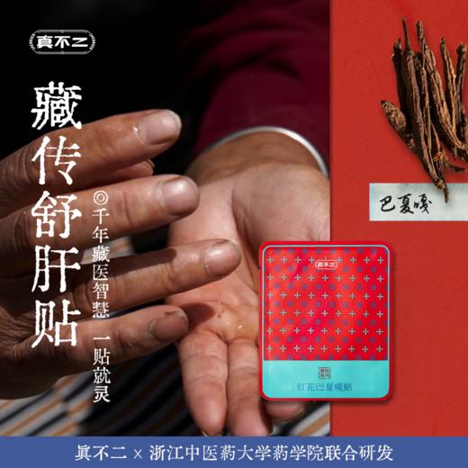 【真不二】新品红花巴夏嘎贴护肝贴藏药膏药贴（20贴/盒） 商品图0