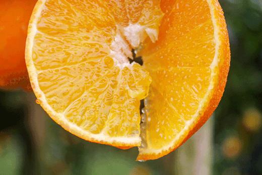 【"秋冬果汁炸弹" 皮薄如蝉翼 无籽无渣】四川爱媛38号果冻橙 净重4.5斤-8斤装中大果 升级套袋果 商品图1