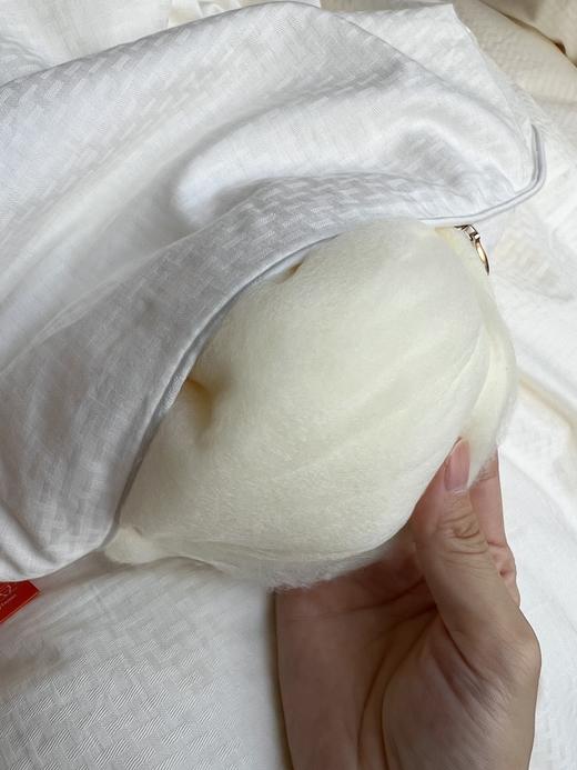 【艾能驱寒大豆二合一子母被、春秋被、冬被】大豆蛋白纤维+艾草纤维  亲肤柔软 吸湿透气  三个尺寸任选 商品图4