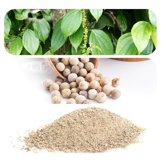 【秒杀】味好美白胡椒30g 商品图2