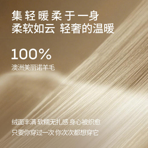 【男装】【商场同款】麦檬春秋套头毛衫9G8930351 商品图3