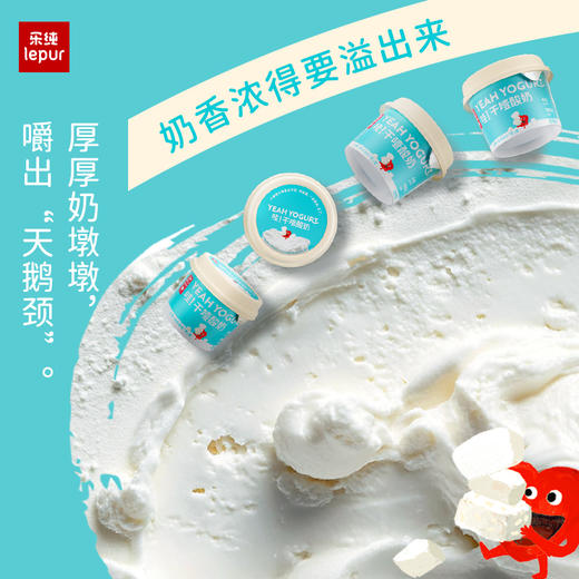 【顺丰】乐纯 干噎奶酪（原味/椰子）100g*6 商品图3