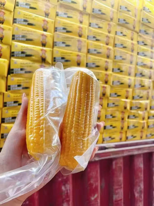 马老面玉米棒棒 商品图2