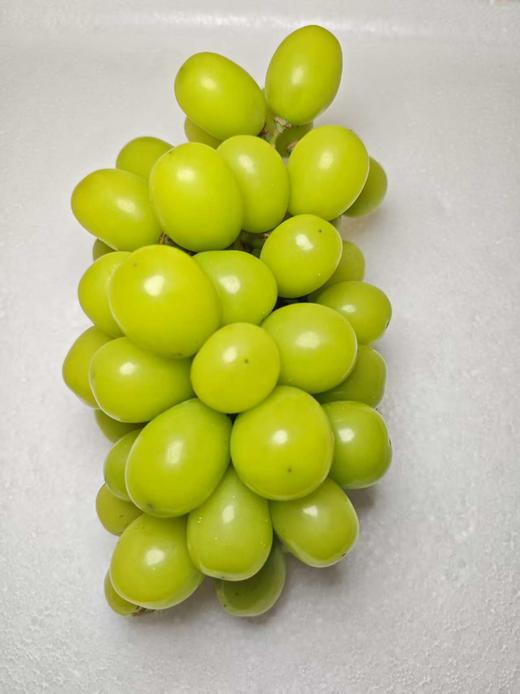 阳光玫瑰2斤装【MJ】 商品图0