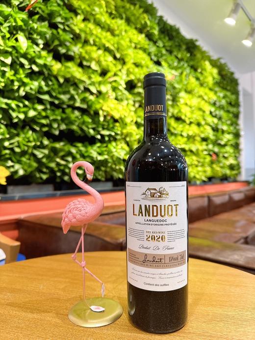【法国AOC级】原瓶原箱  兰多特干红葡萄酒 2020年6瓶/箱 商品图2
