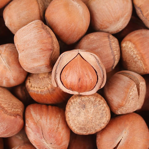 【长白山脚下野生，香脆过瘾】东北林区榛子500g/袋 颗颗饱满 商品图1