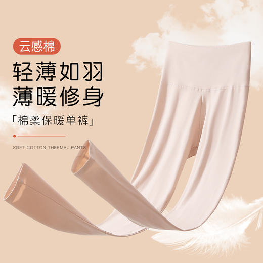 【高腰暖腹】180g女士保暖裤秋裤女95%棉柔亲肤高腰护肚225女士莫兰高腰收腹裤 商品图0