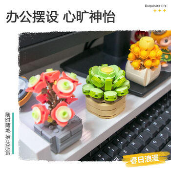 费米（Femibox）兼容乐高儿童拼装积木玩具花摆件生日礼物多肉-观音莲S2318 商品图3