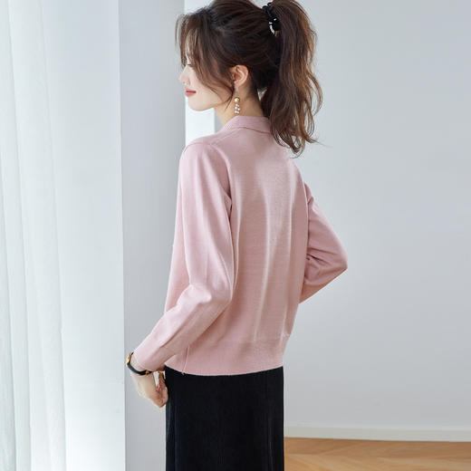 SC90-299-148毛衣女秋冬设计感小众针织衫气质上衣2025年新款秋季减龄打底衫薄 商品图2