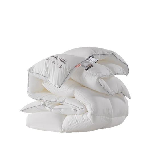 【气凝朵蓄热被芯】秋冬保暖被芯仿生绒被芯加厚双人被子酒店民宿冬被 商品图4