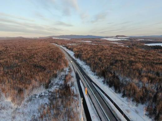 【中国地理标志产品】【长白山现挖6年新鲜人参】通化集安市边条参    园参中上品 顺丰快递 商品图4