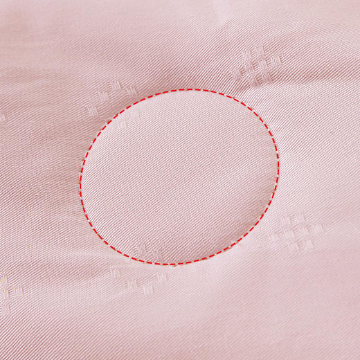 10楼 安睡宝 全棉提花纯蚕丝双人春秋被 吊牌价3299元 活动价799元 商品图3