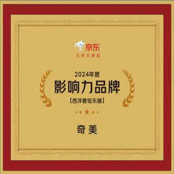 奇美8孔木笛高音英式八孔木质竖笛 课堂乐器 树脂盒包装 带教材 商品图0