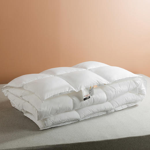 【仿生空气绒被芯】保暖被芯秋冬仿生绒被芯纯色酒店民宿被子双人冬被 商品图5