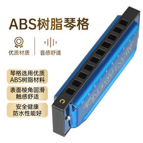 天鹅（SWAN）10孔C调布鲁斯口琴儿童成人学生教学款蓝调口琴蓝色
