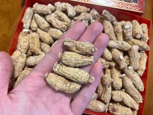 到手价349/盒 668/2盒 国内现货 美国威斯康星州原枝花旗参 一头大概1.5-2g左右 每盒约250g左右 美国代购，无中文标签，介意慎拍 商品图3