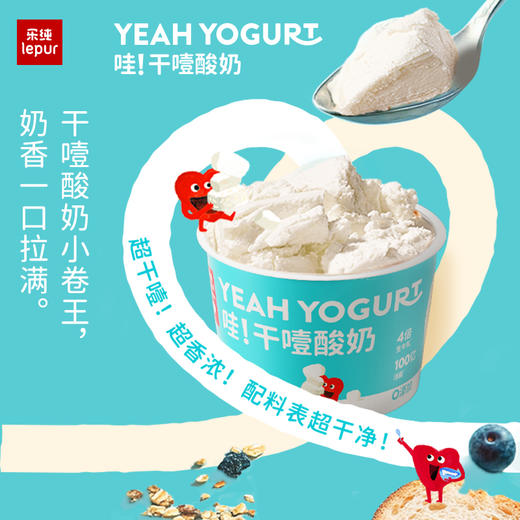 【顺丰】乐纯 干噎奶酪（原味/椰子）100g*6 商品图2