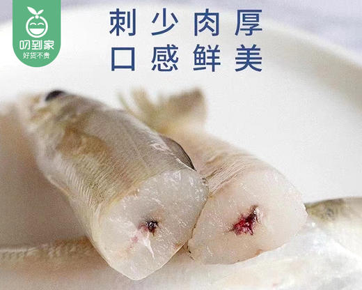 本港海捕大金梭鱼（冰鲜-杀好）/1份（8-12只，共400g±20g） 商品图2