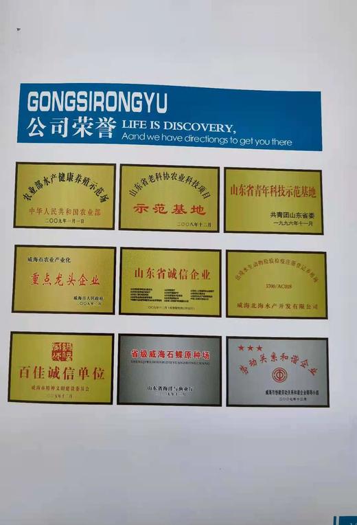 【国家地理标志产品】【只用5年以上海参】 高压即食 免泡发500g/份 商品图5