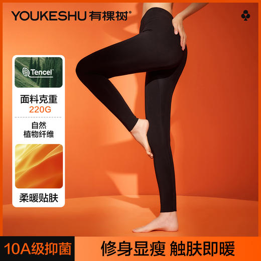 【50S发热丝】【10A抑菌】【M-2XL】【有棵树】女士莫代尔秋裤保暖裤 商品图2