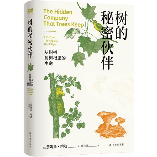 【天际线】树的秘密伙伴：从树梢到树根里的生命 商品图0