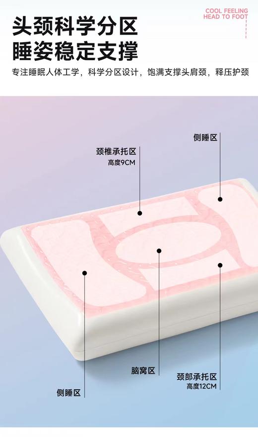 【记忆凉感枕头】四季两用  软硬适中  慢回弹舒适枕 商品图2