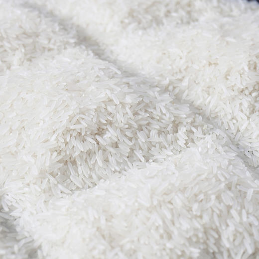 岭南经典油粘米1kg 商品图4