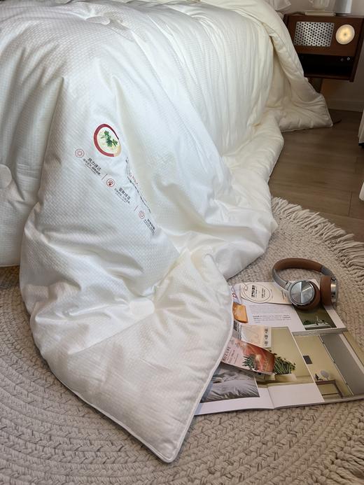 【艾能驱寒大豆二合一子母被、春秋被、冬被】大豆蛋白纤维+艾草纤维  亲肤柔软 吸湿透气  三个尺寸任选 商品图8