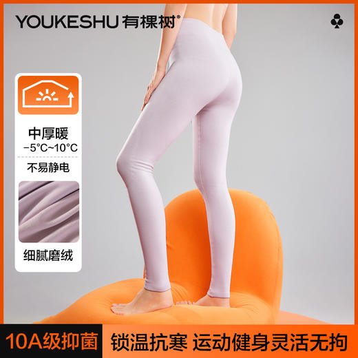 【10A抑菌】【M-2XL】【有棵树】女士磨绒秋裤保暖裤 商品图1